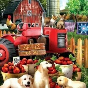 Meet your Posher, Scott n deb